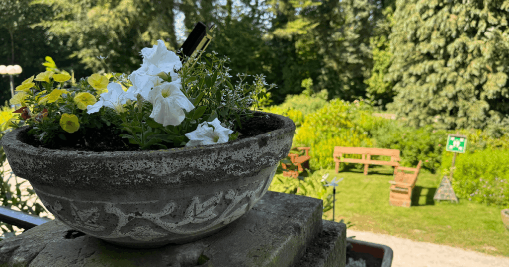 Neue Terrasse im Schloß Delligsen